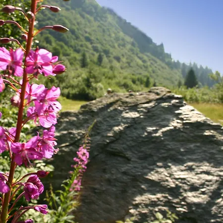 House Hannes Schneider Chalé